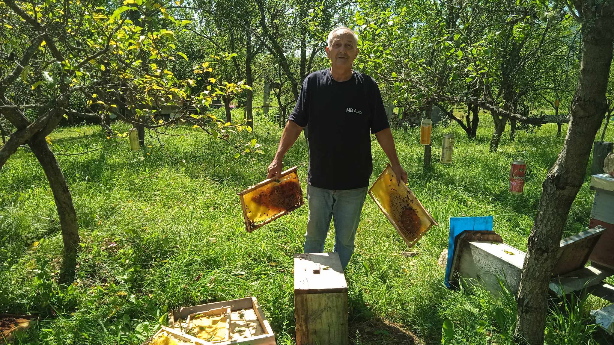 MEDVJED SE U SELU DABAR POČASTIO MEDOM I NEDOZRELIM VOĆEM