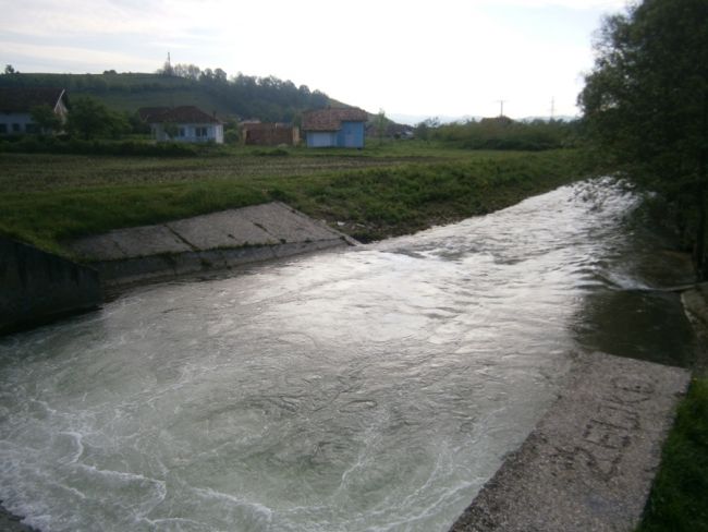 POKUŠAO SPASITI PSA PA SE UTOPIO U BLIHI