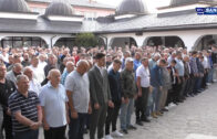 Hronika Sana 6.6.2025.