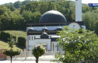 Hronika Sana 30.8.2025.