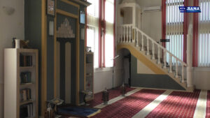 Hronika Sana 8.11.2025.