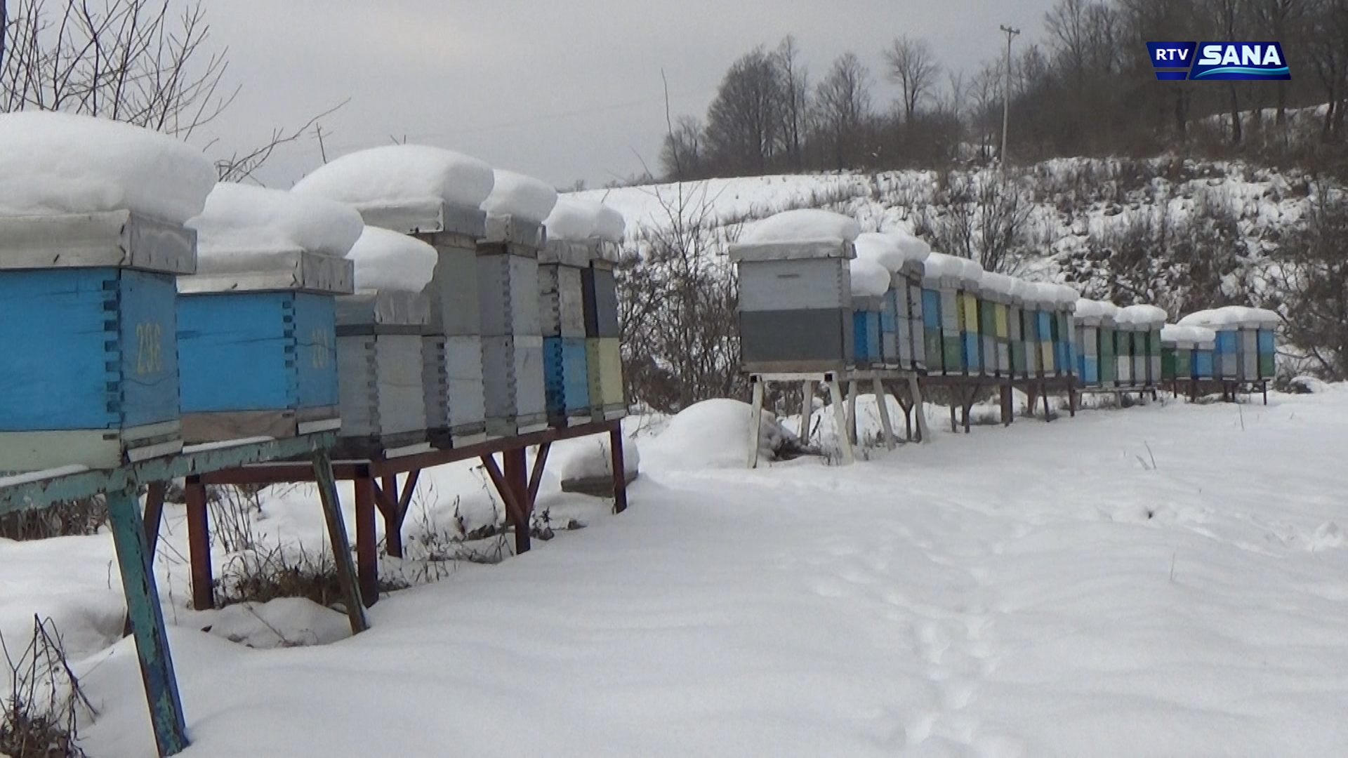 Hronika Sana 9.1.2026.